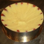 fraisier 07
