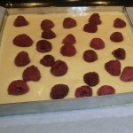 fraisiers individuels 03