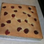 fraisiers individuels 04