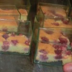 fraisiers individuels 05