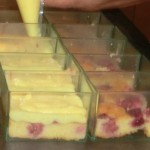 fraisiers individuels 06